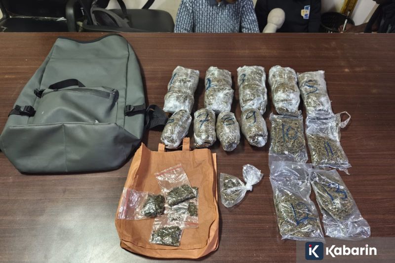 Ahmad Dhani Minta Sekolah Rakyat Direalisasikan Secepatnya