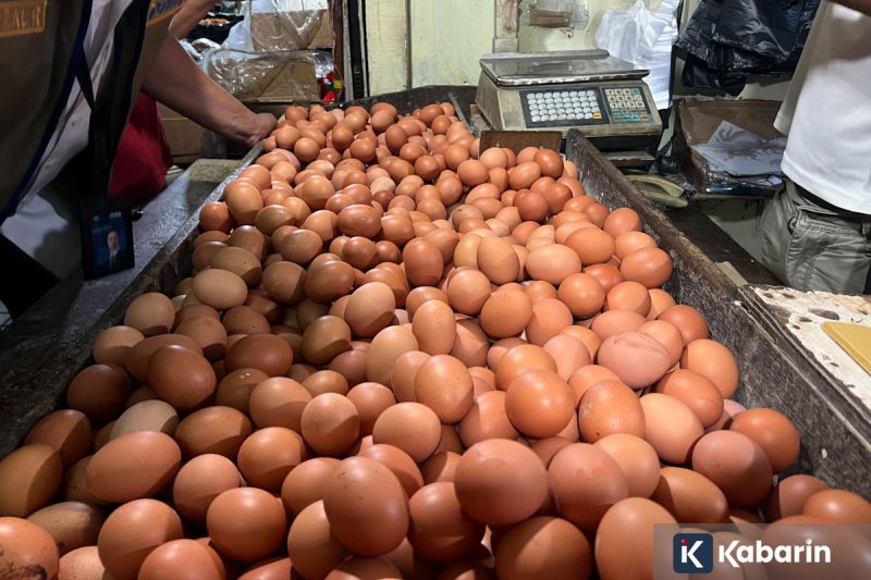 Di Tengah Keterbatasan, Peserta Difabel Tetap Gigih Ikut UTBK di Unej