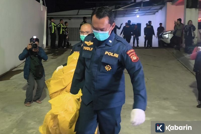Swiss Konfirmasi Kasus Hantavirus dari Kapal Pesiar, 3 Orang Tewas