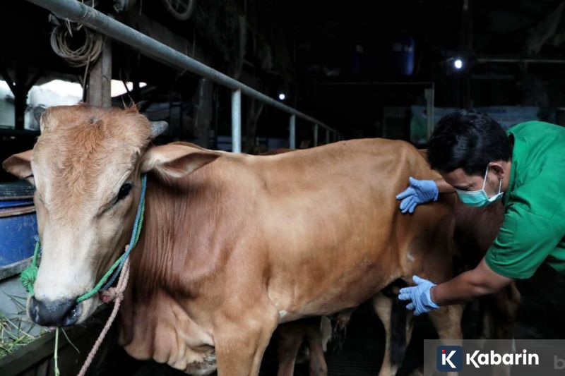 Nadiem Makarim Pakai Gelang Detektor di Kaki saat Hadiri Sidang Tuntutan