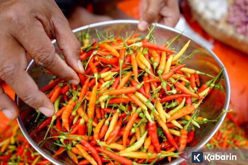Harga Emas Antam Meroket Rp40.000 Jadi Rp2,859 Juta/gr Selasa Pagi Ini
