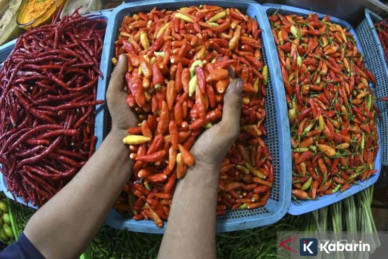 DKI Siapkan Raperda Perlindungan Perempuan untuk Cegah Kekerasan