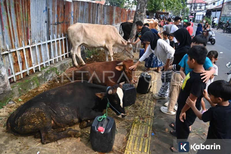 Gen Z Makin Pilih Naik Kereta, KAI Sebut Karena Peduli Lingkungan