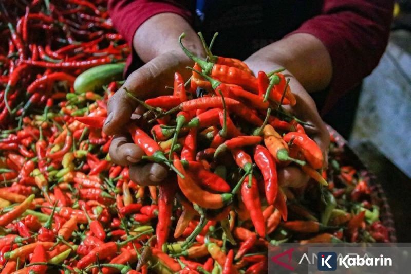 891 ASN di Lingkup Pemprov DKI Jakarta Akan Dilantik Hari Ini