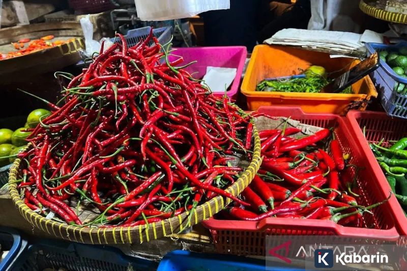 Harga Pangan Hari Ini: Cabai Rawit Rp77.300/Kg, Telur Ayam Rp31.800/Kg