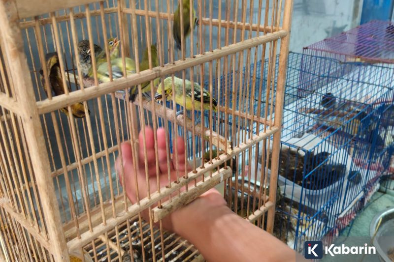 Hukuman Mantan Bupati Lombok Barat Diubah Jadi Hanya Lima Tahun