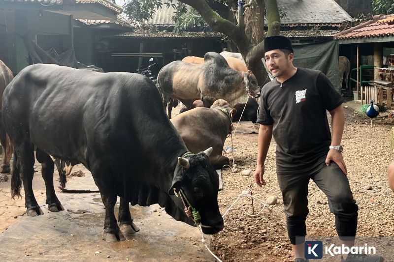Irfan Hakim Sebut Jumlah Hewan Kurban Tahun Ini Makin Banyak