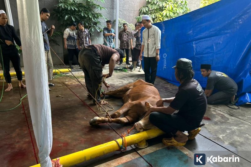 Tiga Hal Ini Jadi Sorotan Hector Souto Usai Cari Bakat Futsal ke Daerah