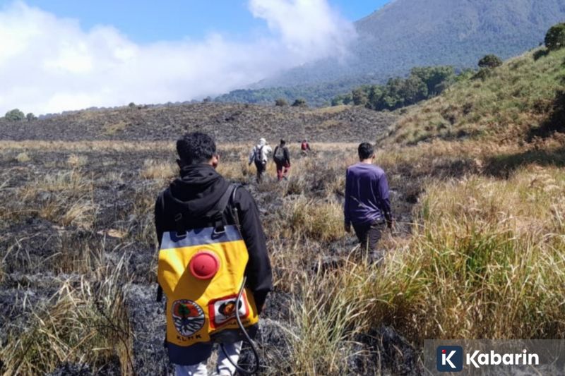 Kebakaran di Taman Nasional Gunung Rinjani Berhasil Dipadamkan