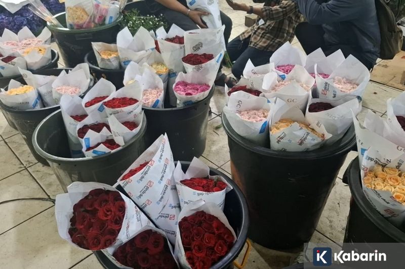 Hajime Moriyasu Kecewa Jepang Gagal Menang, Puji Mental Tim Lawan Belanda