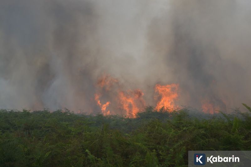 BMKG: Mayoritas Daerah di Indonesia Diguyur Hujan Hari Ini