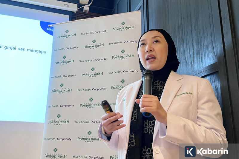 Pemerintah Yakin Indonesia Bertahan di Kategori “Emerging Market”