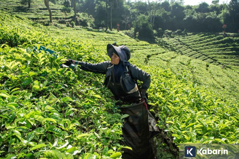 Bandara Soetta Selesaikan Layanan Kepulangan 34.754 Jemaah Haji 2026