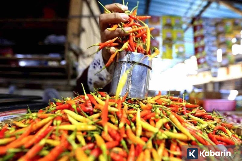 Pemerintah Tegaskan Komitmen Perkuat Peran Koperasi